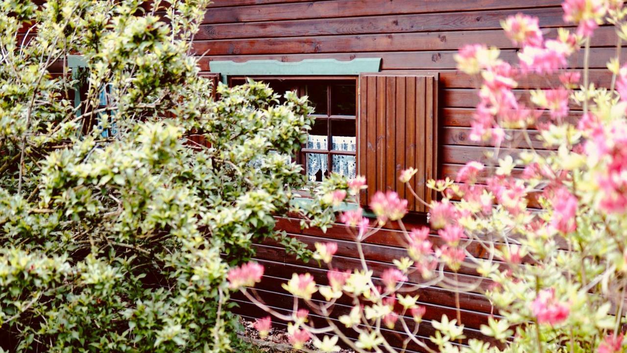 Hotel Forsthaus Luchsenburg Ohorn Exterior foto